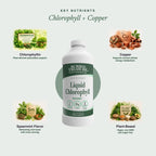 Buried Treasure Liquid Chlorophyll 100 mg Digestive Support - 32 Fl Oz - image 4