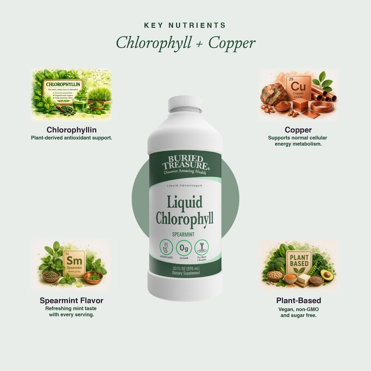 Buried Treasure Liquid Chlorophyll 100 mg Digestive Support - 32 Fl Oz - image 4