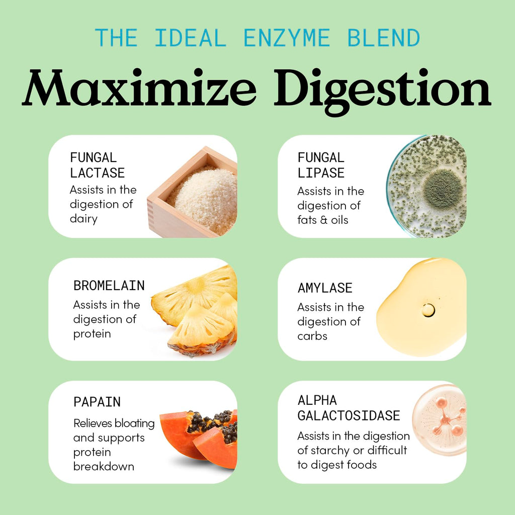 JLM Nutritionals Digest Plus Digestive Enzymes - 60 Capsules - image 5
