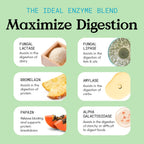 JLM Nutritionals Digest Plus Digestive Enzymes - 60 Capsules - image 5