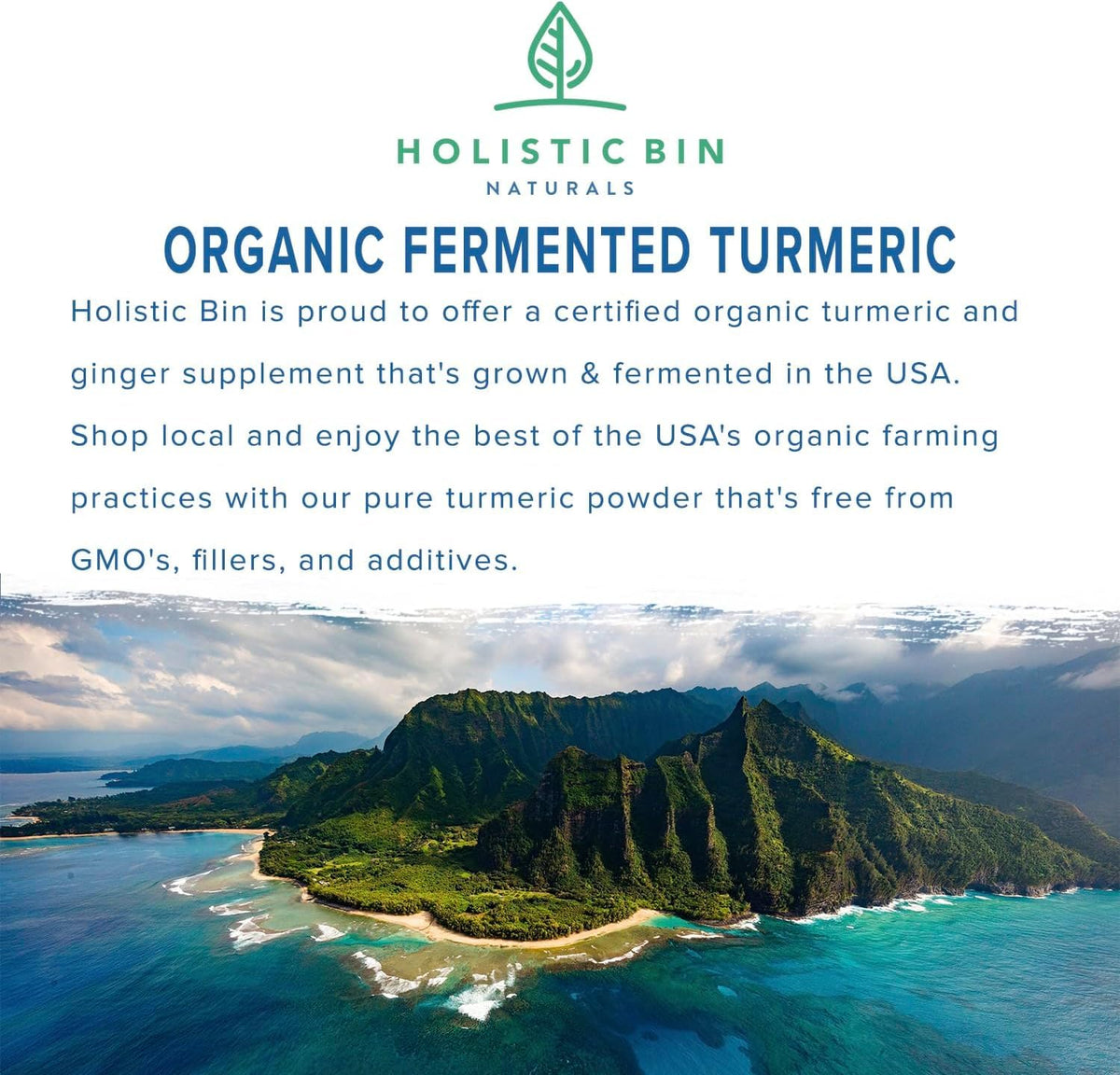 Holistic Bin Fermented Turmeric Powder White Gold - 56g - image 3