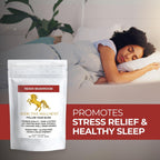Addictive Wellness Reishi Mushroom + Spores Powder - 50g - image 8