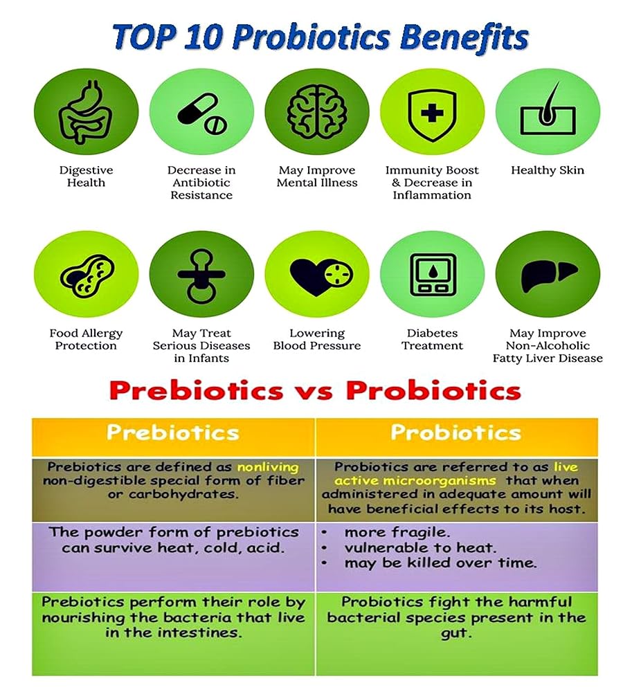 NOVA Probiotics Vegan Sport 42 Billion CFU - 60 Capsules - image 5