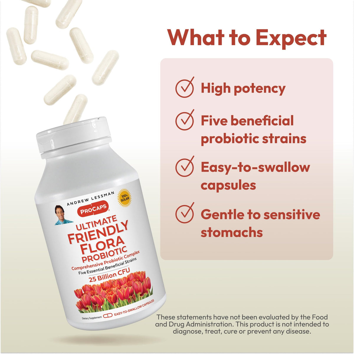 ANDREW LESSMAN Ultimate Friendly Flora Probiotic Capsules - 25