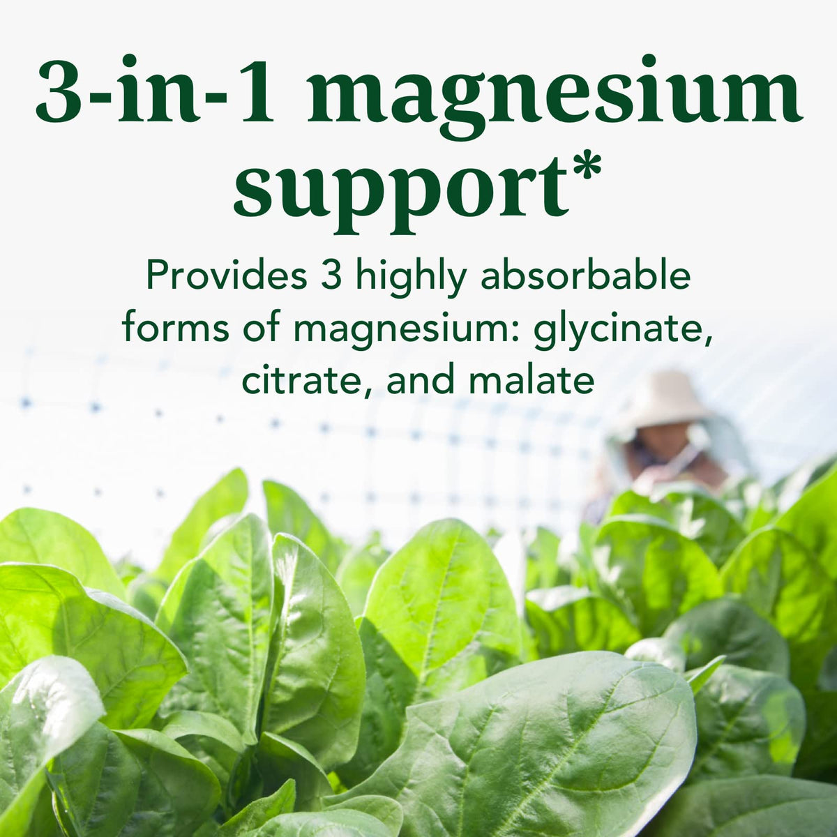 INNATE Response Formulas Magnesium Complex 300mg - 120 Capsules - image 4