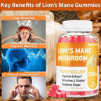 Marpvore Lion's Mane Gummies with Ashwagandha & Alpha GPC - 60 Gummies - image 3