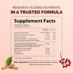 Nutritunes - NutriSulin Blood Sugar Support - 90 Capsules - image 2