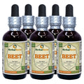 Herbal Terra LLC Beet (Beta Vulgaris) Tincture