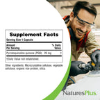 Nature's Plus Brainceutix PQQ Brain Support - 60 Vegan Capsules - image 4
