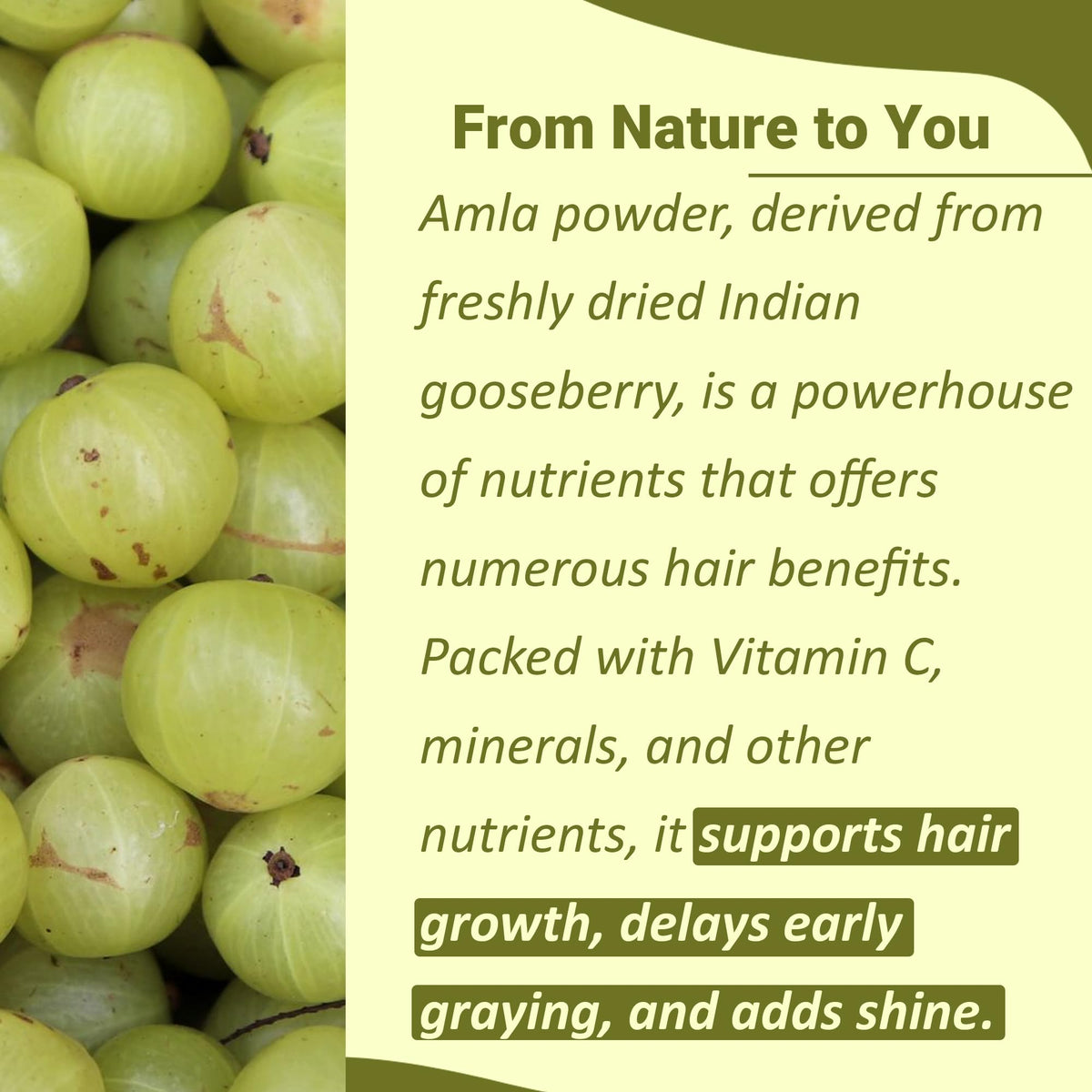 minature mi Nature USDA Organic Amla Powder - 227g - image 2