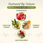 Snap Supplements Heart Health Support with Beets - 90 Capsules - image 3