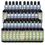 Herbal Terra LLC Strawberry (Fragaria vesca) Tincture
