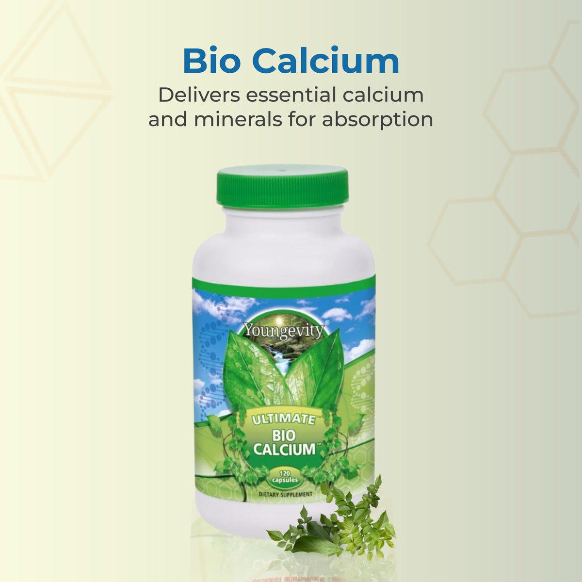 Youngevity Bio Calcium Chelated Calcium & Magnesium - 120 Capsules - image 2
