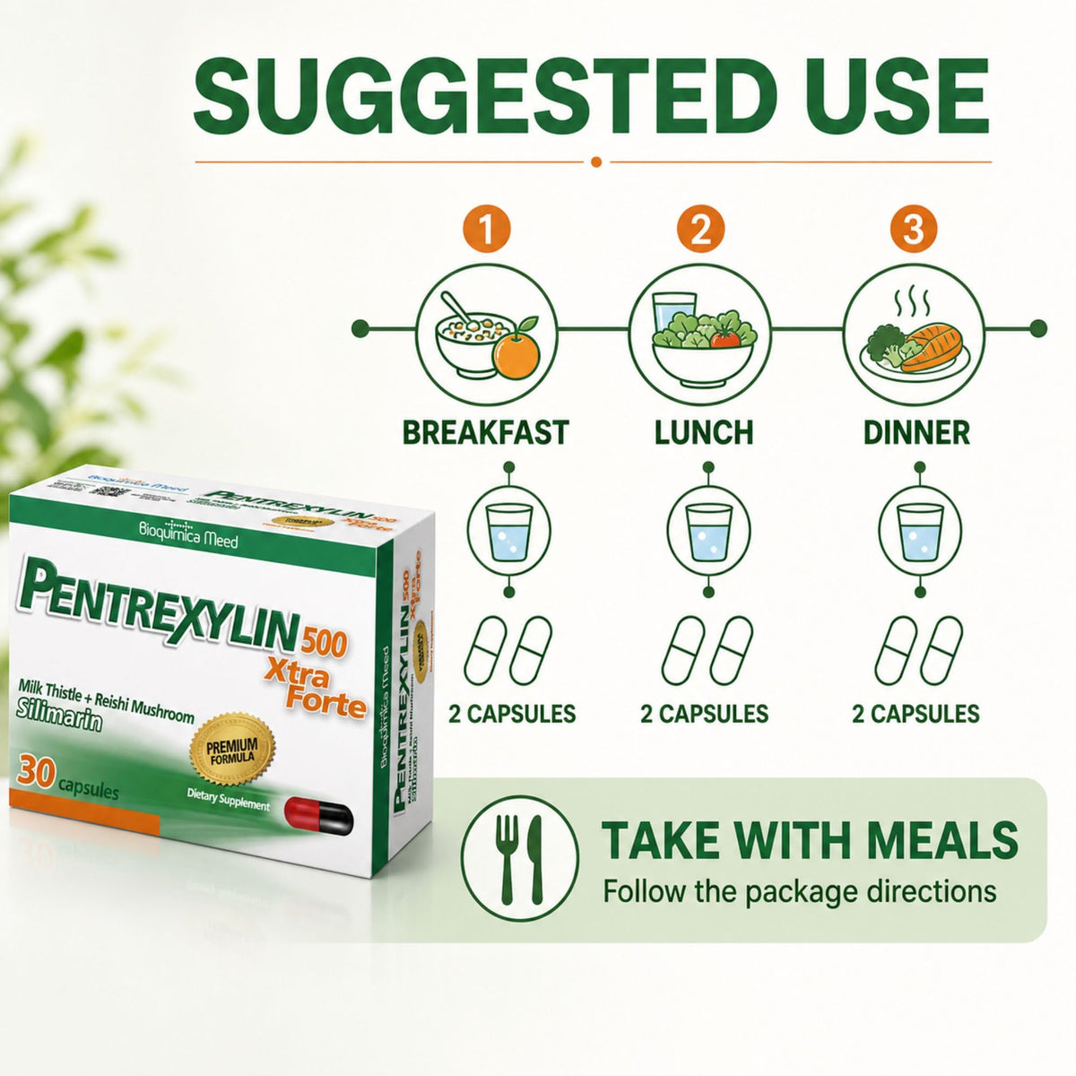 Pentrexylin Milk Thistle Reishi 500 mg - 30 Capsules - image 5