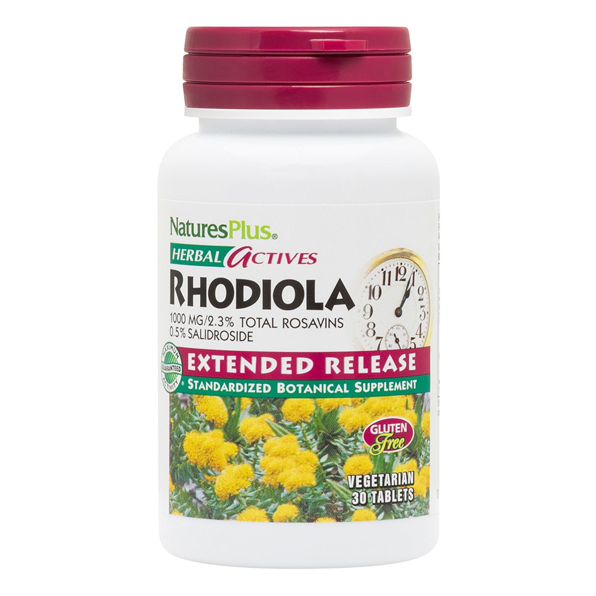 NaturesPlus Rhodiola Extended Release Adaptogenic - 30 Tablets