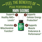 Peak Performance NMN Supplement 500mg - 30 Capsules - image 2