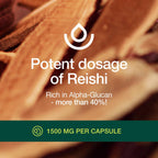 Fresh Nutrition Organic Reishi Mushroom Capsules 1500mg - 90 Capsules - image 6