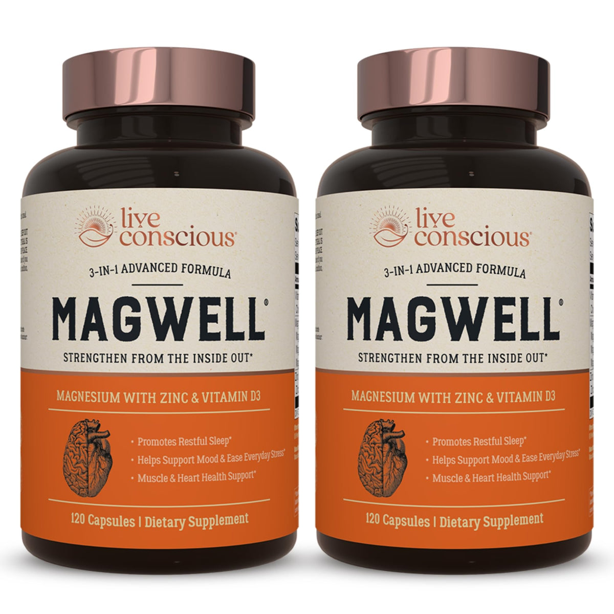 Live Conscious MagWell Parent