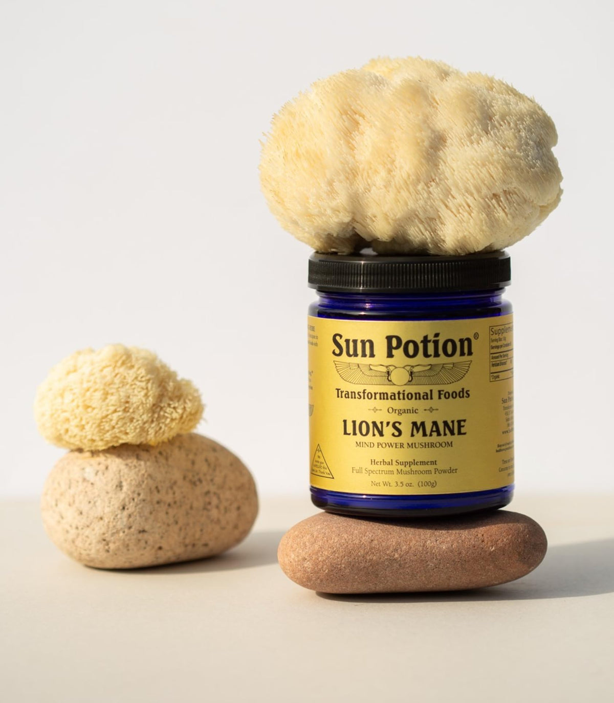 Sun Potion Lion's Mane Mind Power Mushroom Powder - 100g - image 5