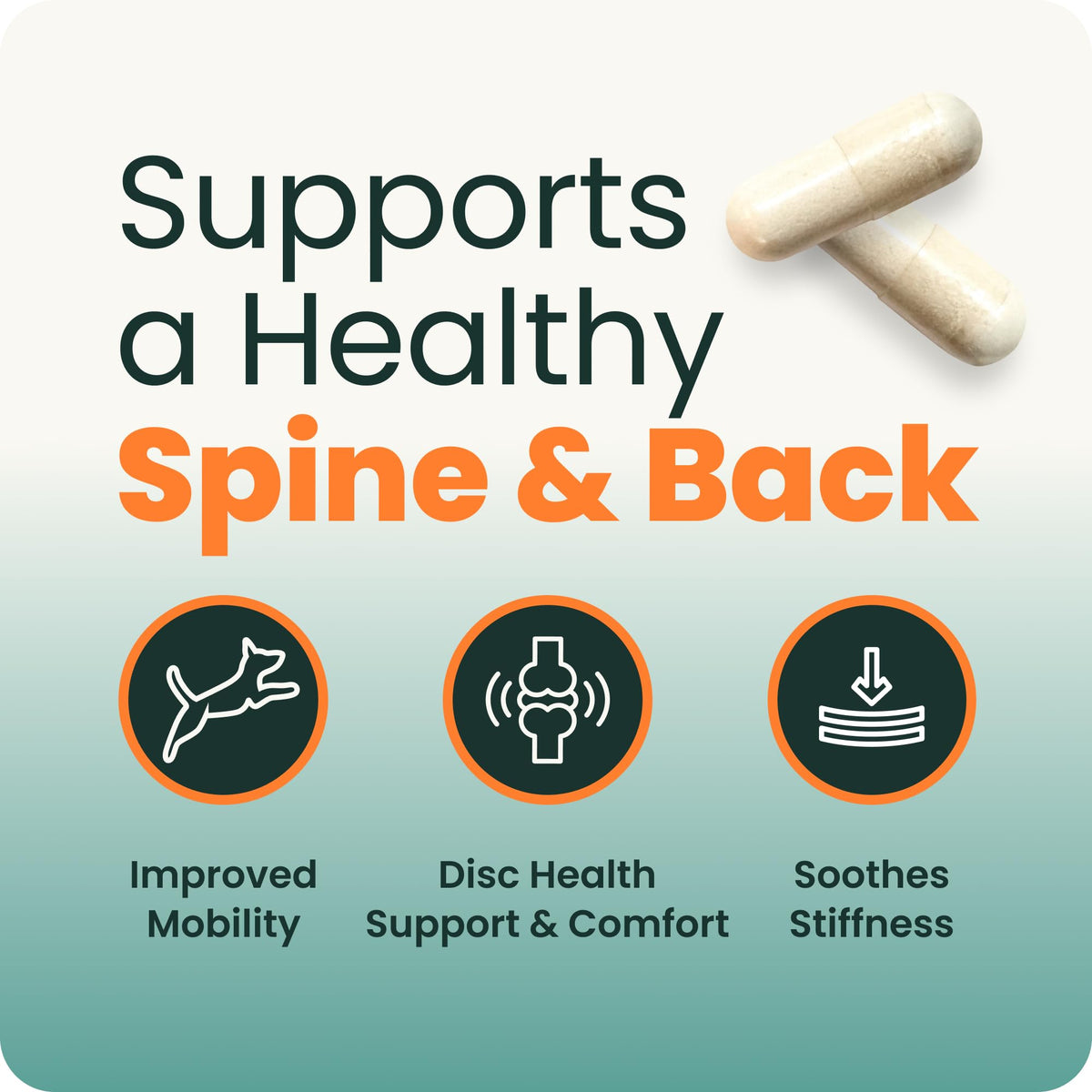 VetriScience Healthy Spine & Disc for Dogs - 180 Capsules - image 3