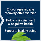 Life Extension Taurine Powder Cardiovascular Support - 300g - image 4