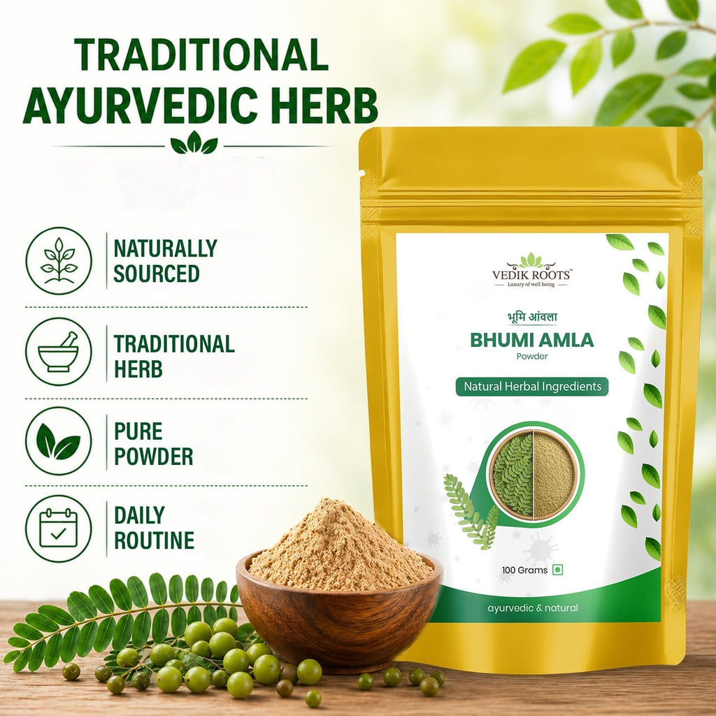 VEDIKROOTS Bhumi Amla Powder - 100g - image 3