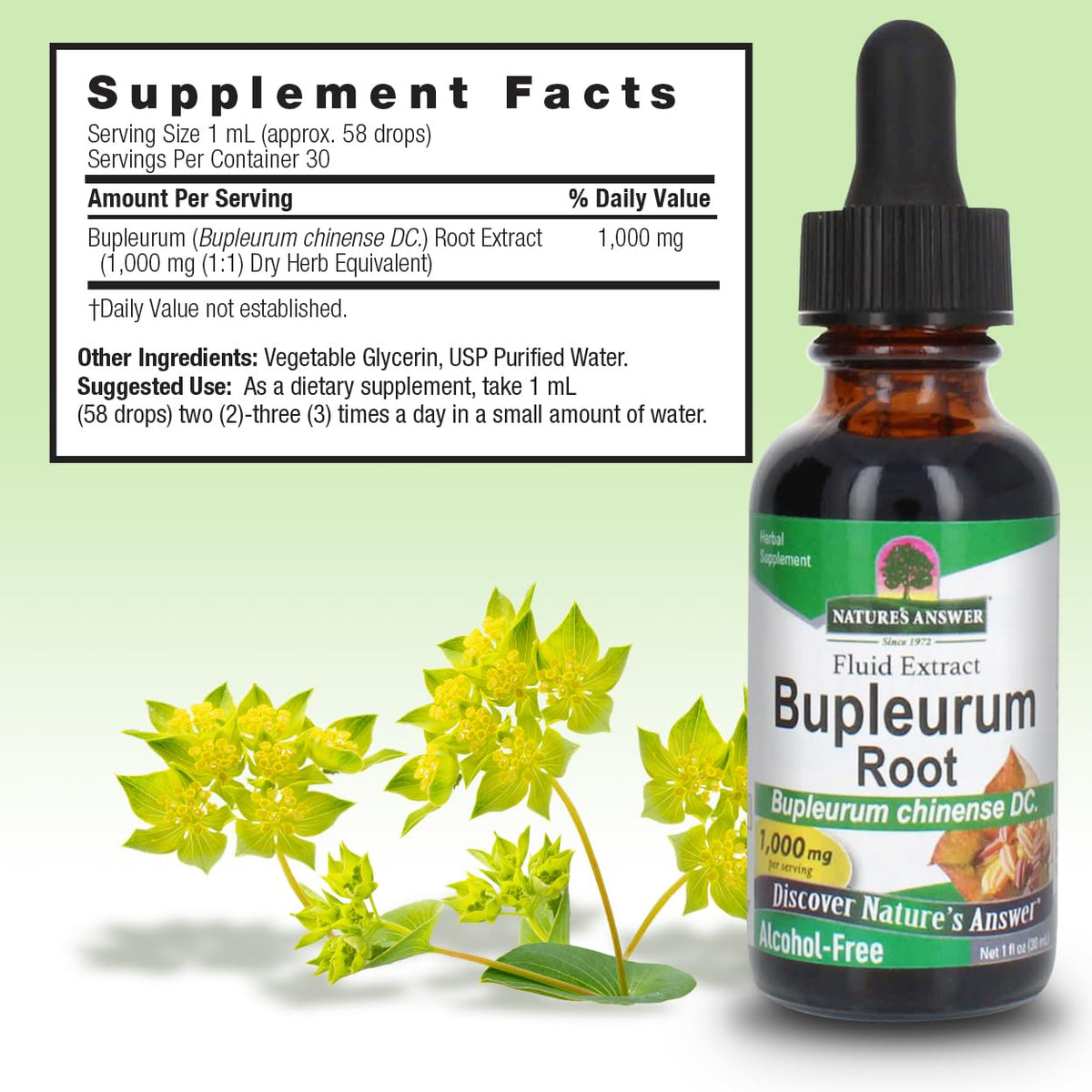 Nature's Answer Bupleurum Root 1000 mg Liquid Extract - 1 Fl Oz - image 3
