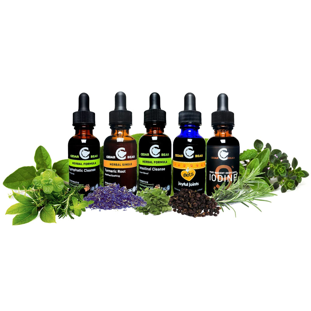 Cedar Bear Queasy Ease for Kids Liquid Herbal Supplement - 1 Fl Oz - image 4