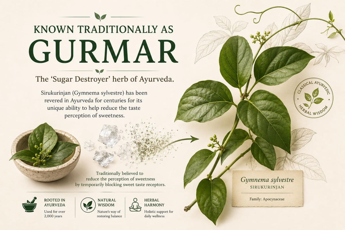 YOGIS HERBS Sirukurinjan Gymnema Sylvestre Powder - 16 Ounce - image 3