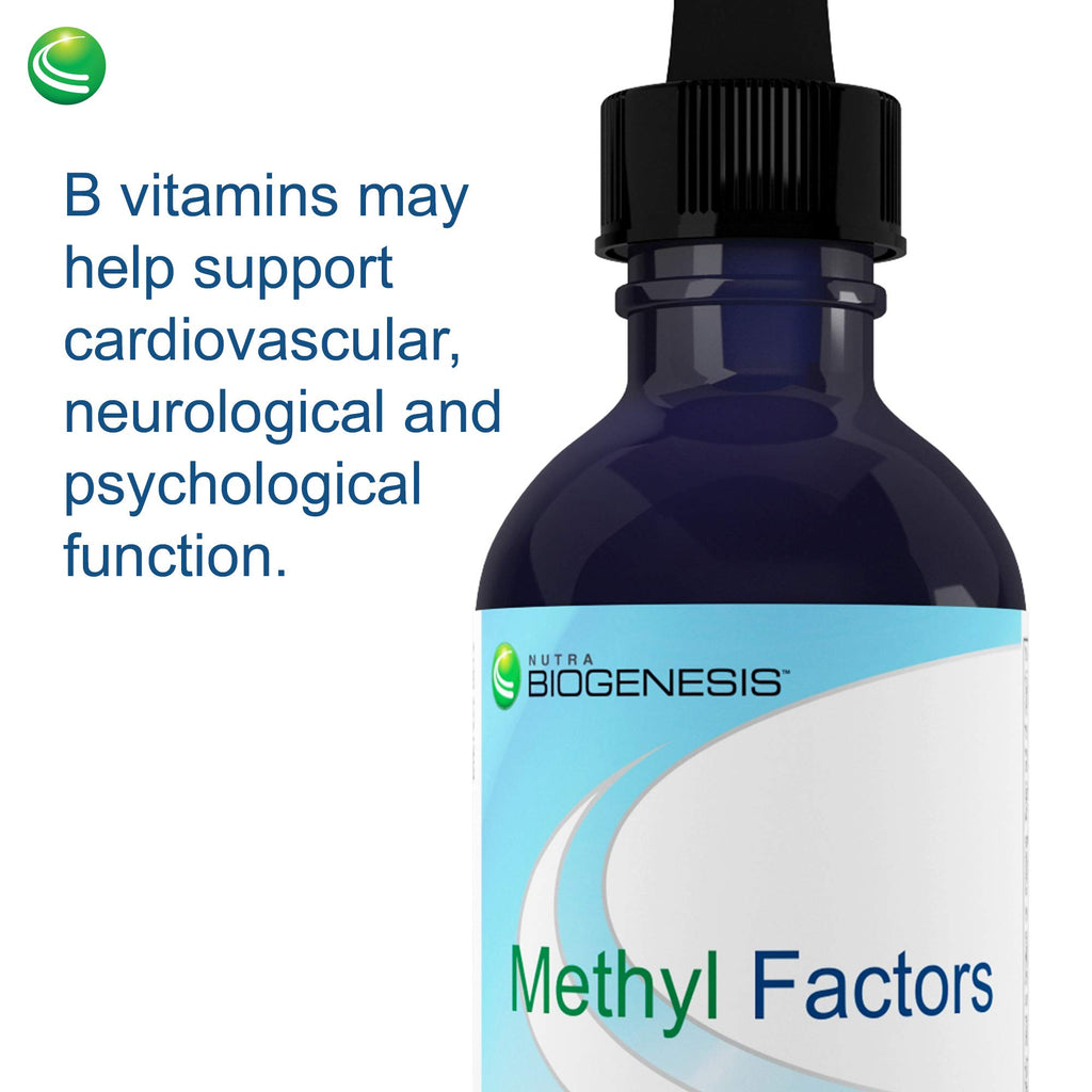 Nutra BioGenesis Methyl Factors Vitamin B12 Drops - 2 fl oz - image 7