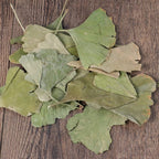 Generic Ginkgo Biloba Dried Loose Leaves - 500 Grams - image 4