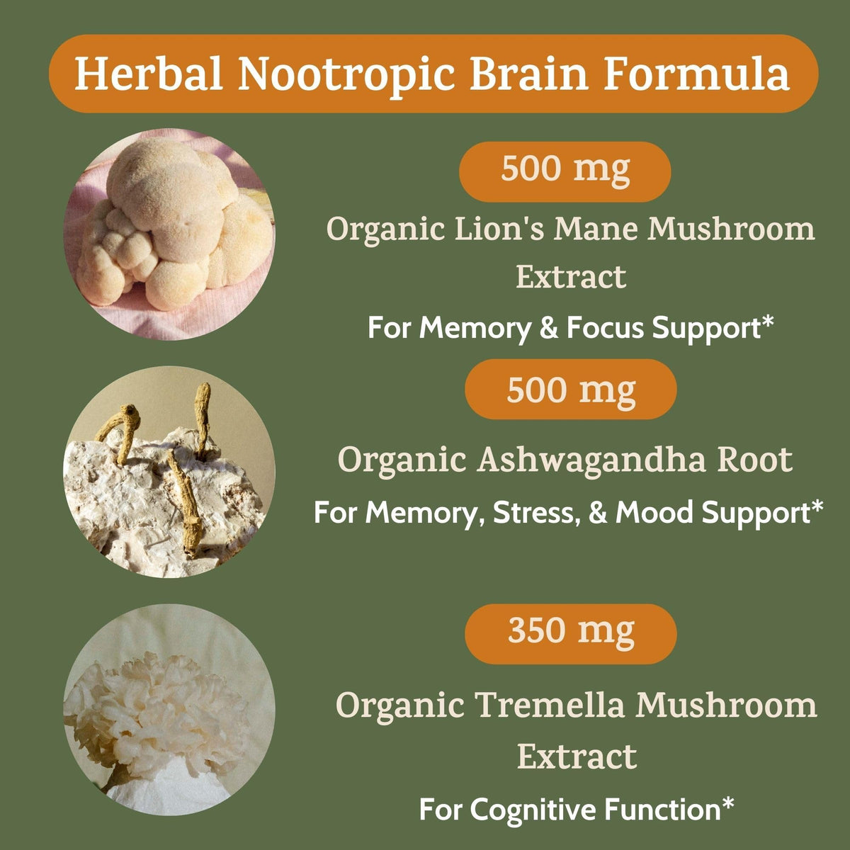 Peak + Valley Nootropic Brain Support Supplement for Memory & Focus - image 4