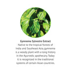 Botanic Choice Gymnema Sylvestre Liquid Extract - 1 Fl Oz - image 4