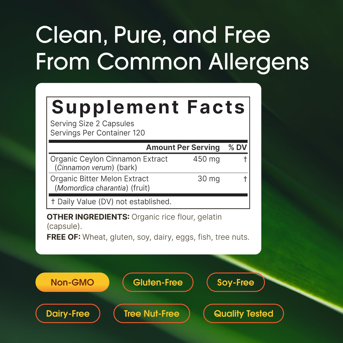 NatureBell BA NB Cinnamon Parent