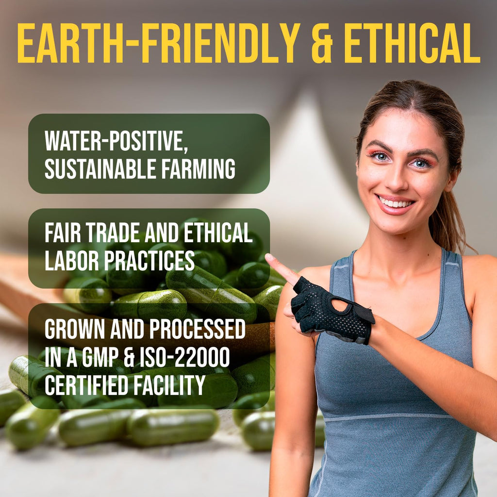 Perfect Supplements Chlorella Vegetarian Protein - 120 Capsules - image 4