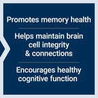 Life Extension Cognitex Basics Brain Health - 30 Softgels - image 4