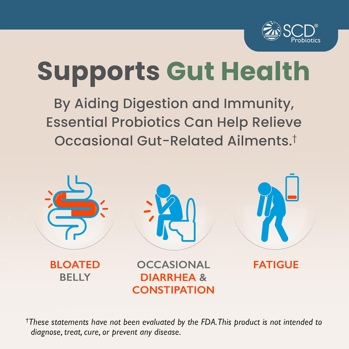 SCD Probiotics Essential Probiotics Gut Health Drink - 16 fl oz - image 3
