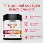 ZHOU Collagen Peptides Supplement Powder - 18 oz Jar - image 3