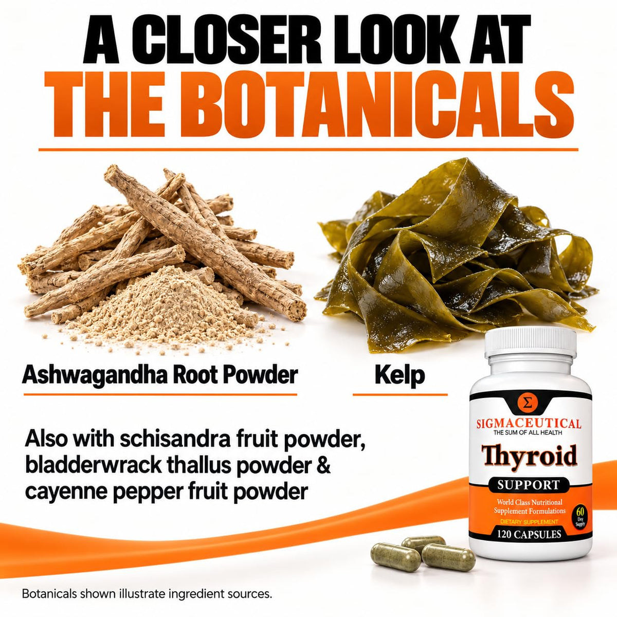 Sigmaceutical Thyroid Wellness Blend with Zinc, Selenium & Iodine - image 6