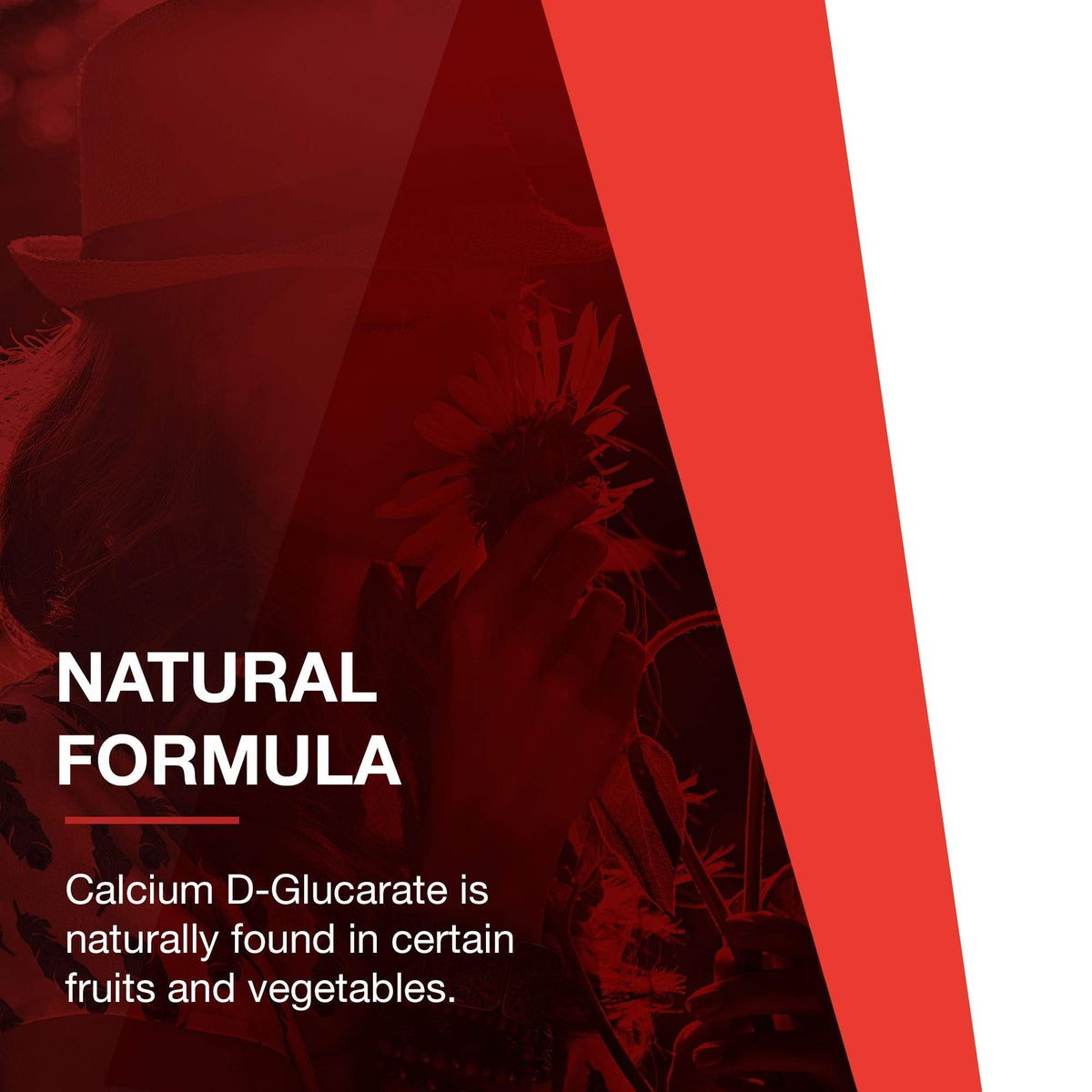 Protocol for Life Balance Calcium D-Glucarate 500mg - 90 Vegetarian Capsules - image 8