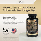 gflow vitamins Resveratrol Supplement with Berberine - 90 Capsules - image 2