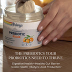 SOLARAY Mycrobiome Prebiotic Powder