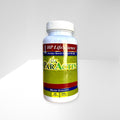 HP LIFESCIENCE ParActin Andrographis Paniculata Supplement - 90 Capsules
