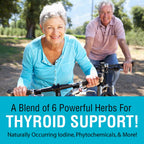 SOLARAY Thyroid Blend SP-26 Herbal Supplement - 100 Vegetarian Capsules - image 3
