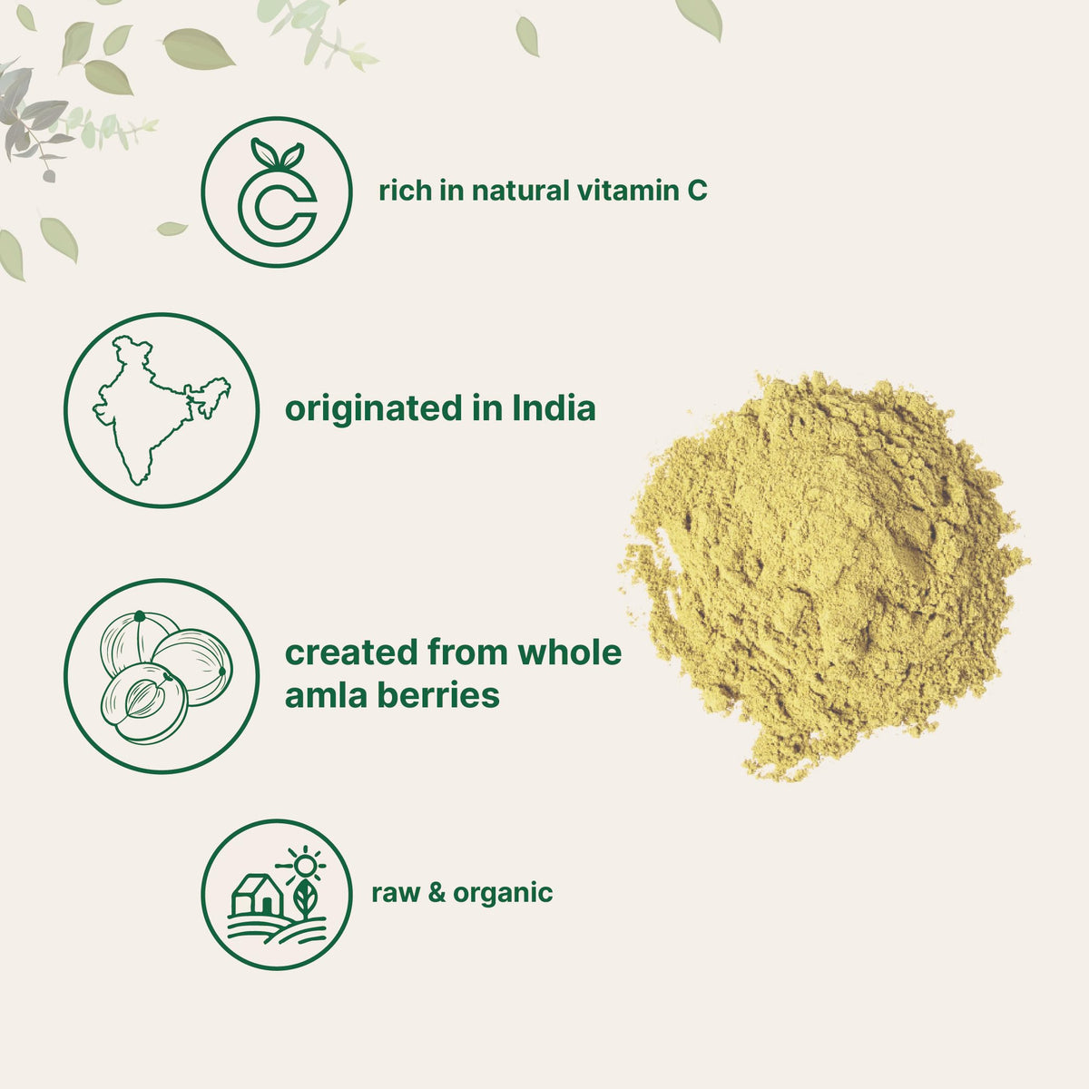Micro Ingredients Organic Amla Powder - 32 oz - image 4