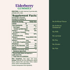 Nature's Bounty Flavored Gummy Elderberry Immune Health 100mg Bottle