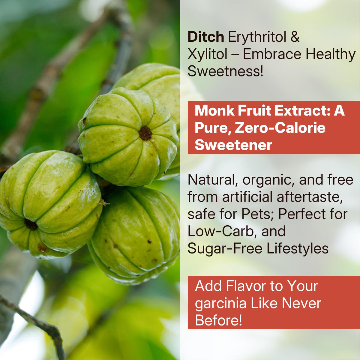 NEVISS Garcinia Cambogia Gummies 1000mg with L-Carnitine - 60 Gummies - image 8