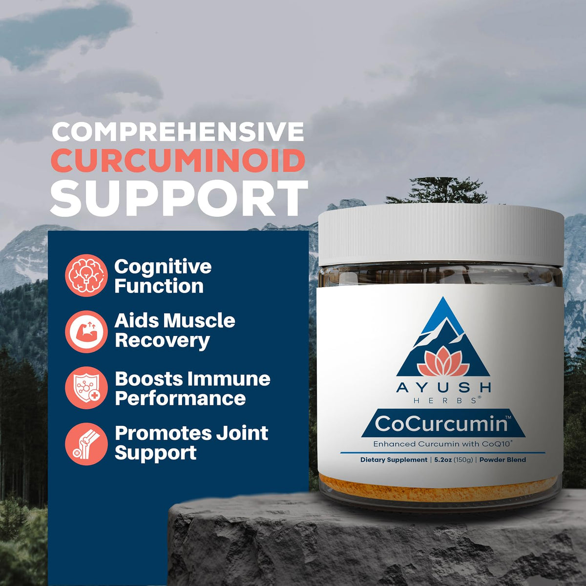 Ayush Herbs CoCurcumin Turmeric Powder with CoQ10 - 30 Servings - image 2