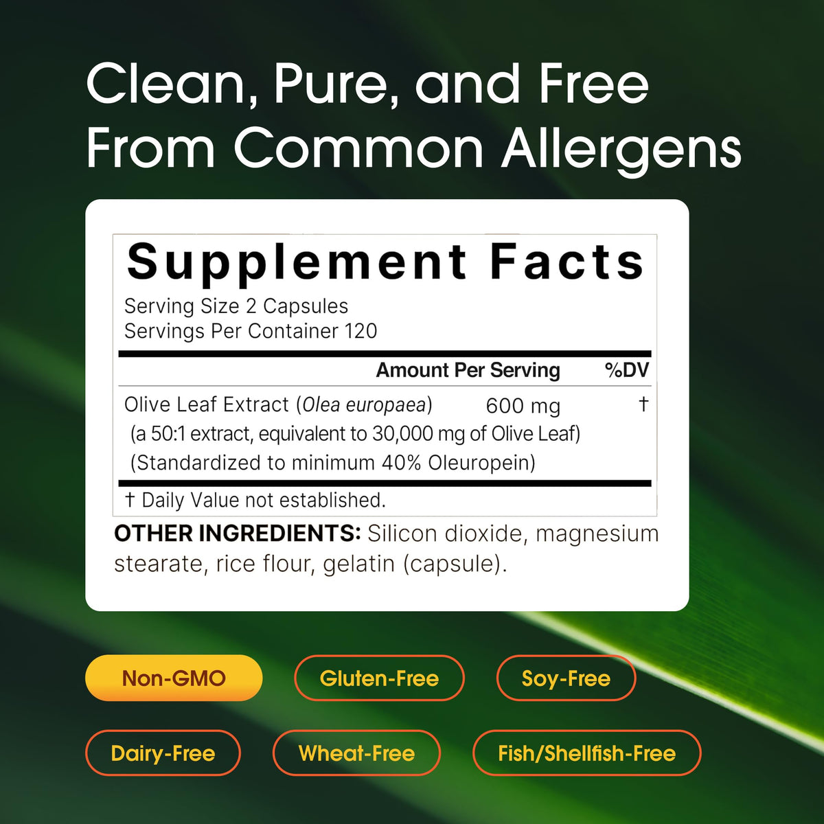 NatureBell Olive Leaf Extract Immune Support - 240 Capsules - image 3
