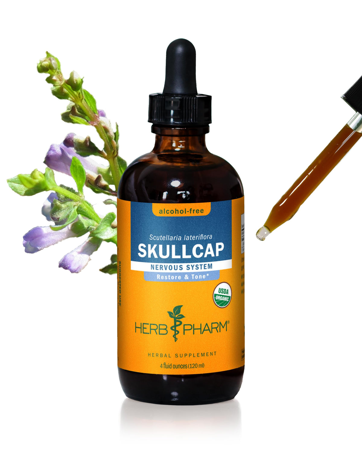 Herb Pharm Skullcap Alcohol-Free Liquid Extract - 4 Fl Oz